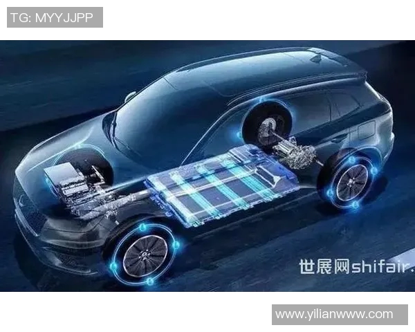 体育与公共事务融合发展的新趋势与挑战分析